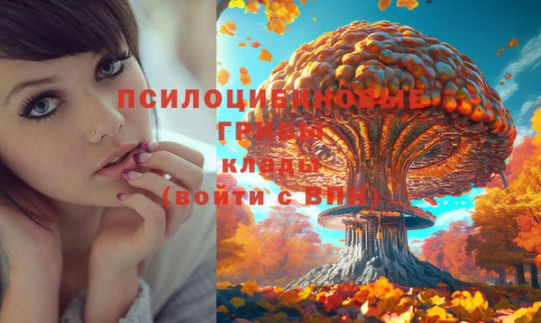 твердый Волосово
