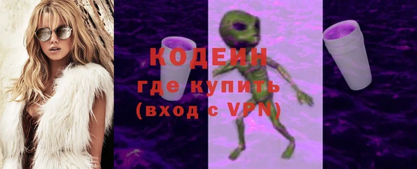 ГАЛЛЮЦИНОГЕННЫЕ ГРИБЫ Верея
