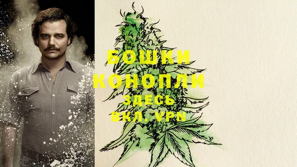 дурь Володарск