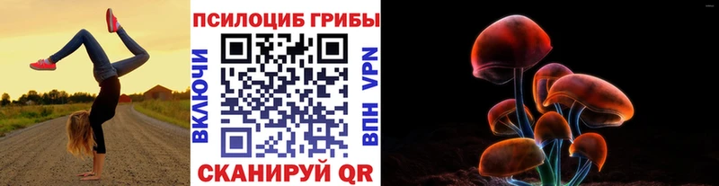 Псилоцибиновые грибы Cubensis  Купить закладки  Зея 